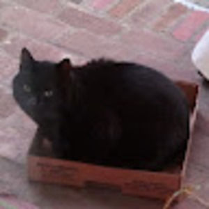 Meet your Posher, Jack